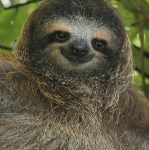 Meet your Posher, Charly